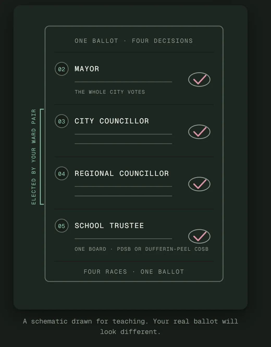 A schematic ballot from the Learn page with four races: Mayor, City Councillor, Regional Councillor and School Trustee. A bracket labelled "Elected by your ward pair" spans the two councillor races. The caption reads "A schematic drawn for teaching. Your real ballot will look different."